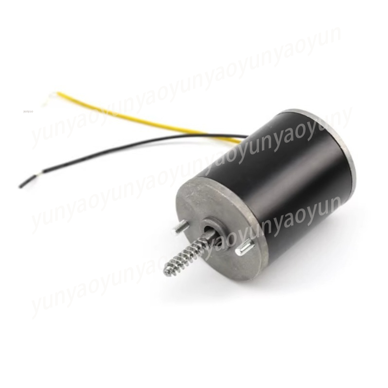 Motor de Guindaste 24V, Motor  - Crane Claw Motor avaliação e preço